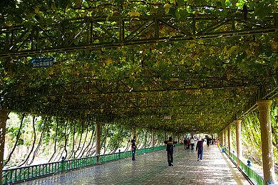 咖啡冲调模拟游戏《Coffee Talk》确认推出续作 2022年发售